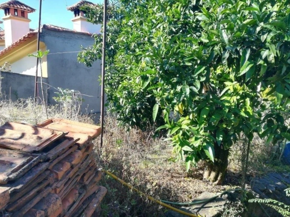 Moradia T3 para Venda em Castanheira de Pêra e Coentral Foto 21