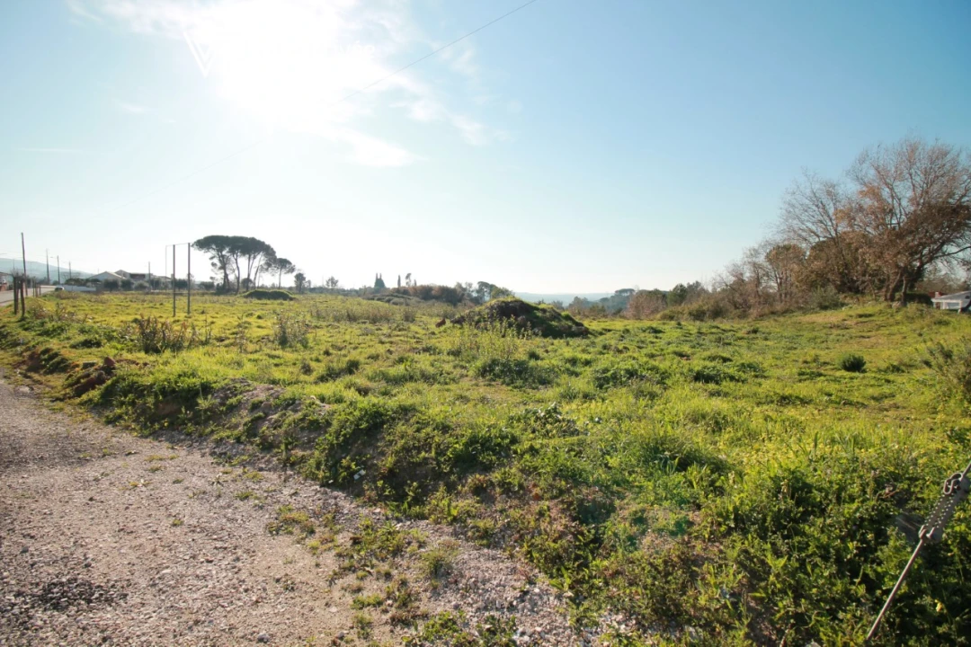Terreno para Venda em Condeixa-A-Velha e Condeixa-A-Nova Foto 9