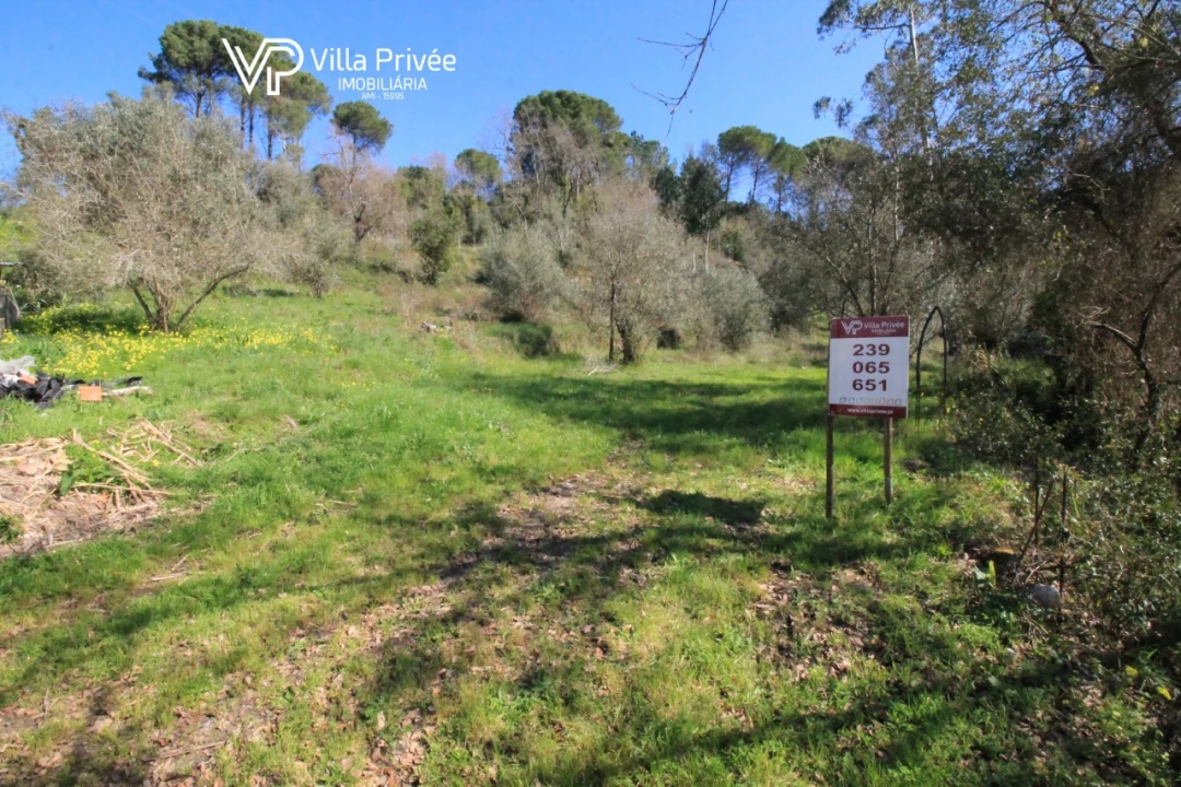 Terreno para Venda em Condeixa-A-Velha e Condeixa-A-Nova Foto 5