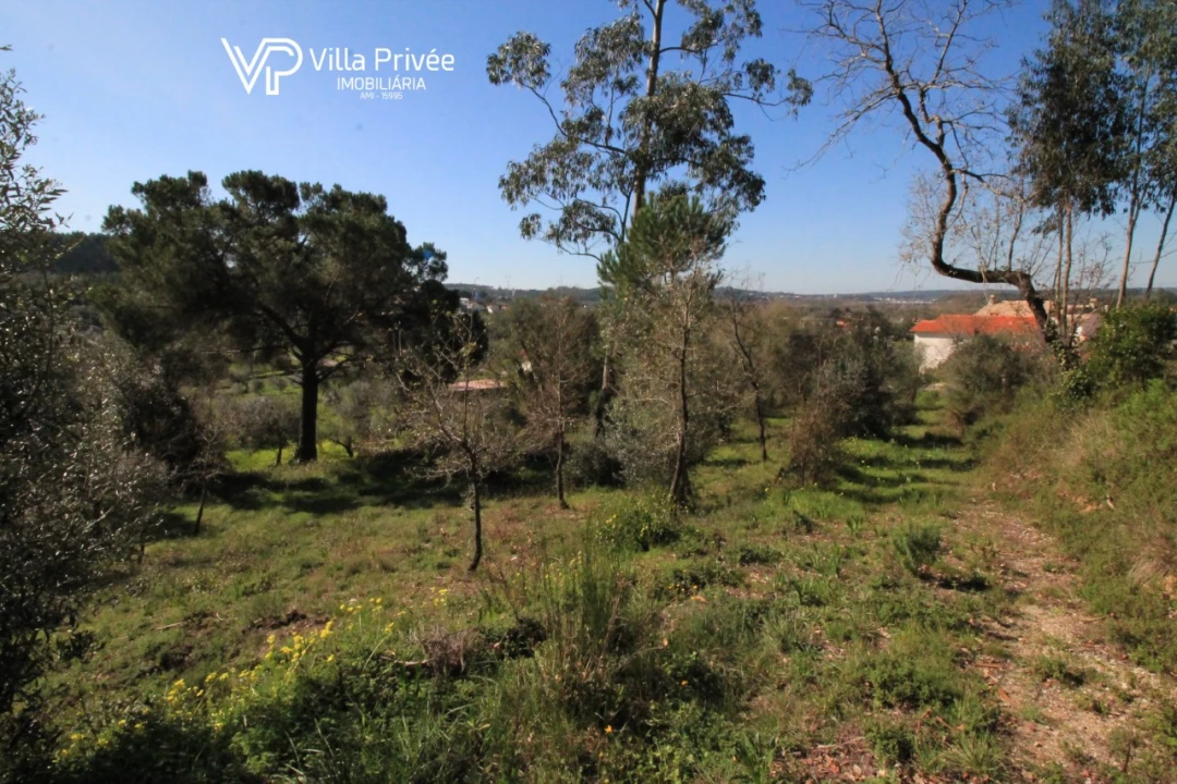 Terreno para Venda em Condeixa-A-Velha e Condeixa-A-Nova Foto 8