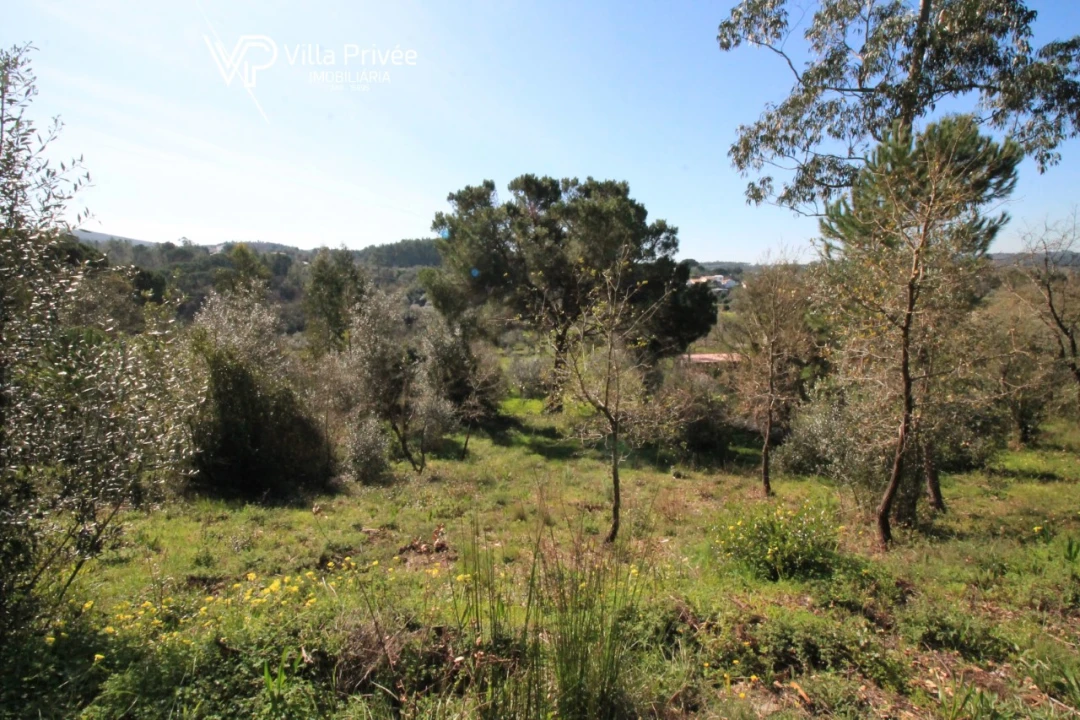 Terreno para Venda em Condeixa-A-Velha e Condeixa-A-Nova Foto 9