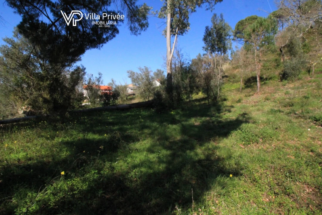 Terreno para Venda em Condeixa-A-Velha e Condeixa-A-Nova Foto 11