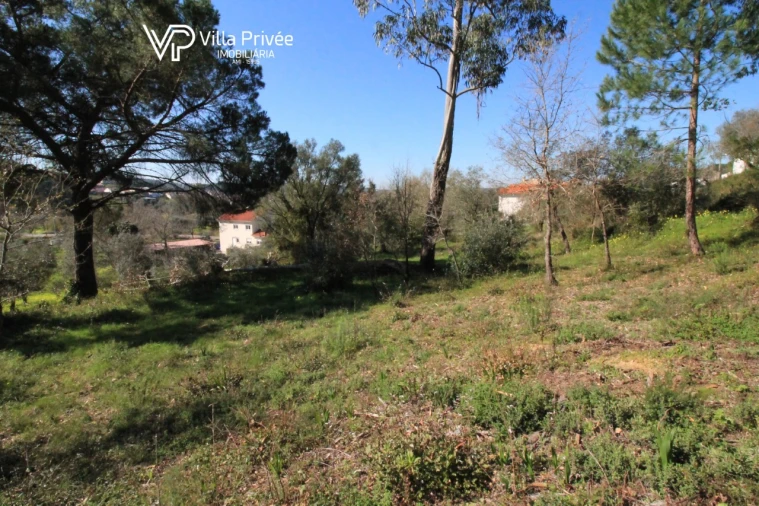 Terreno para Venda em Condeixa-A-Velha e Condeixa-A-Nova Foto 10