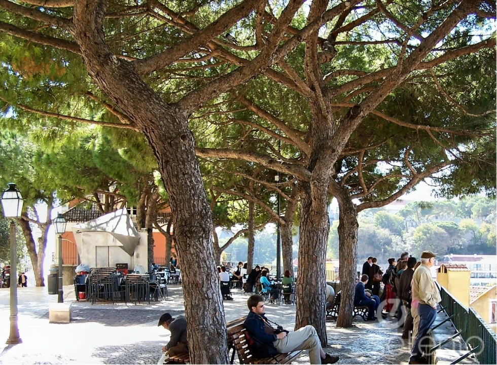 Prédio para Venda em São Vicente Foto 18