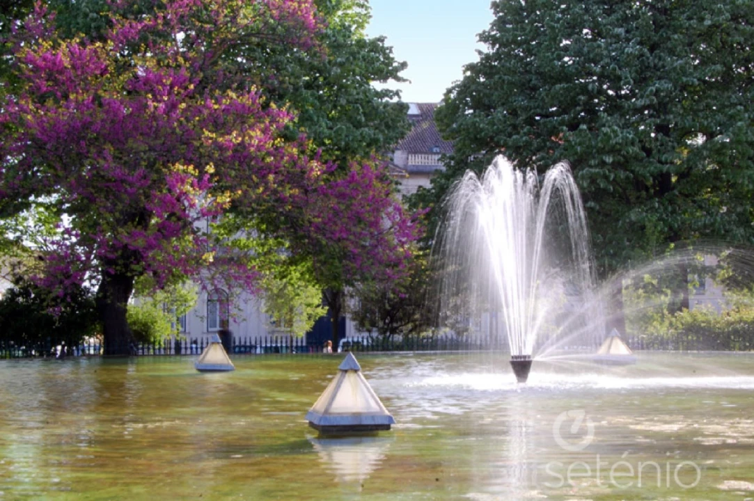 Prédio para Venda em Santo António Foto 2