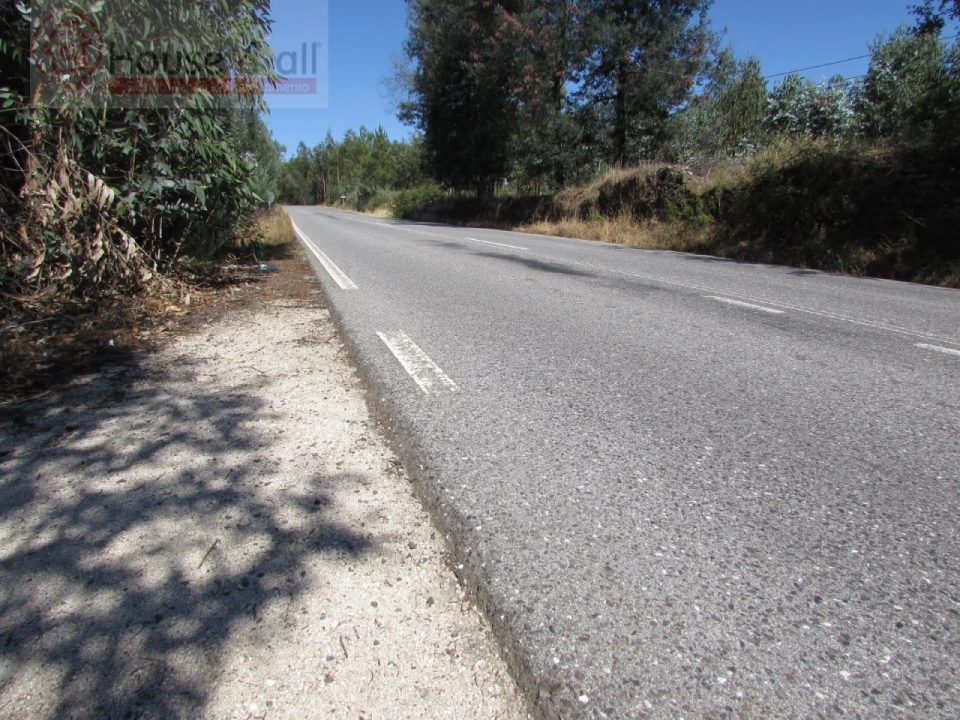 Terreno Misto para Venda em Proença-A-Velha Foto 26