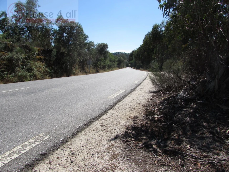 Terreno Misto para Venda em Proença-A-Velha Foto 27