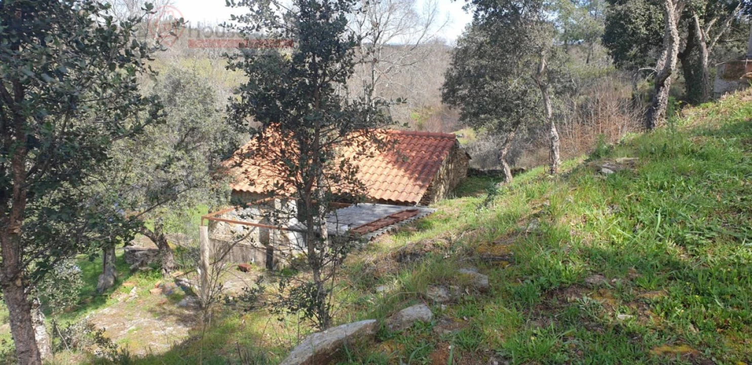 Terreno Misto para Venda em Proença-A-Velha Foto 17