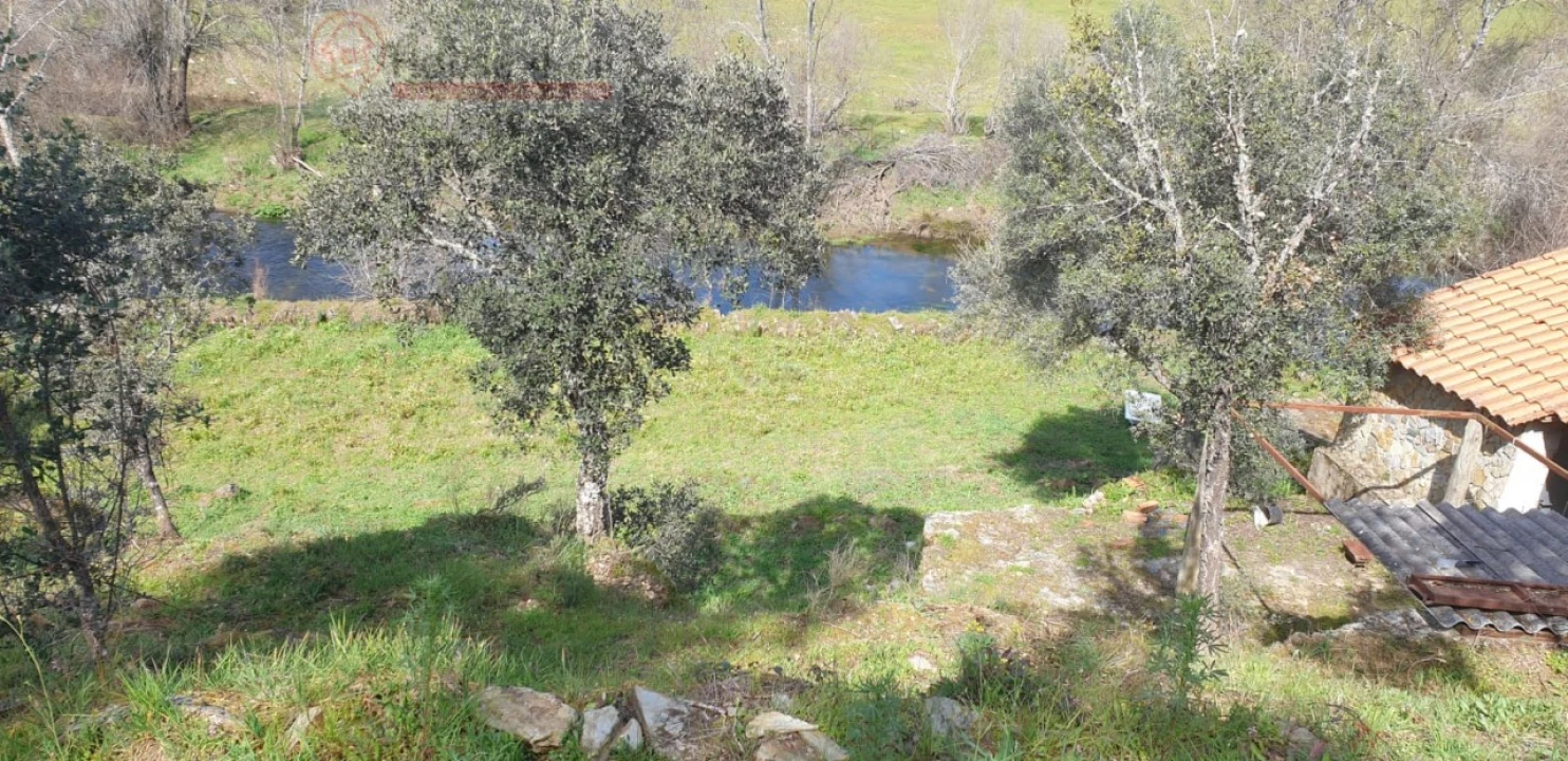 Terreno Misto para Venda em Proença-A-Velha Foto 19