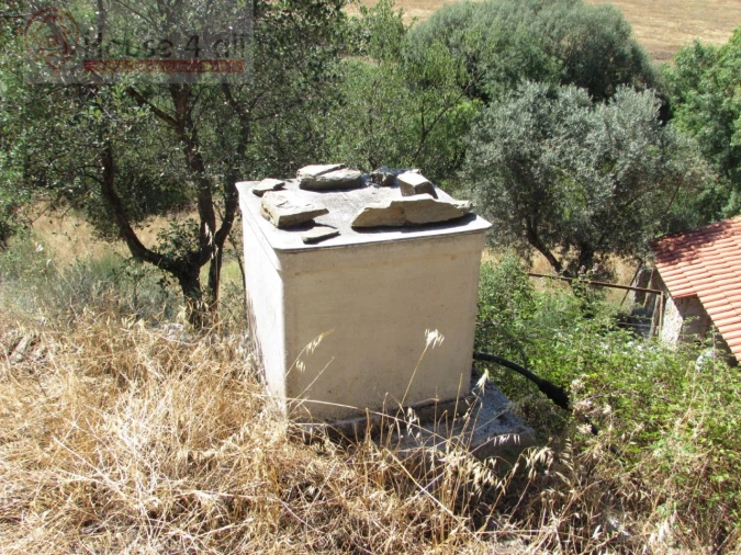 Terreno Misto para Venda em Proença-A-Velha Foto 9