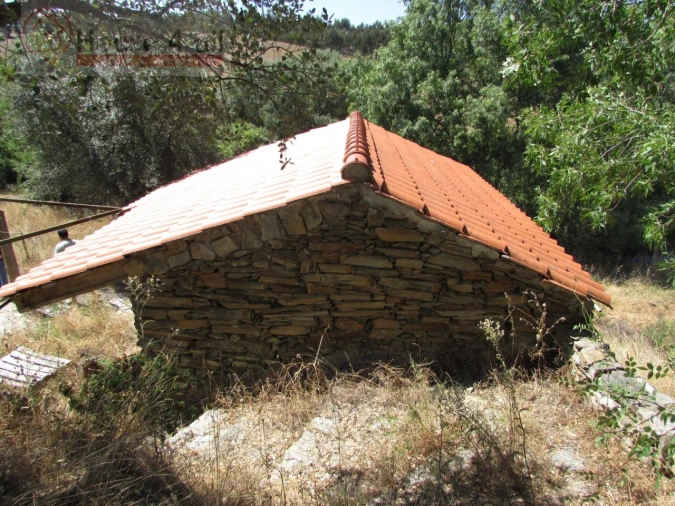 Terreno Misto para Venda em Proença-A-Velha Foto 10