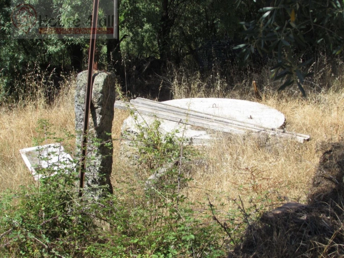 Terreno Misto para Venda em Proença-A-Velha Foto 11