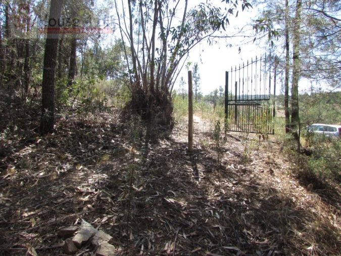 Terreno Misto para Venda em Proença-A-Velha Foto 24