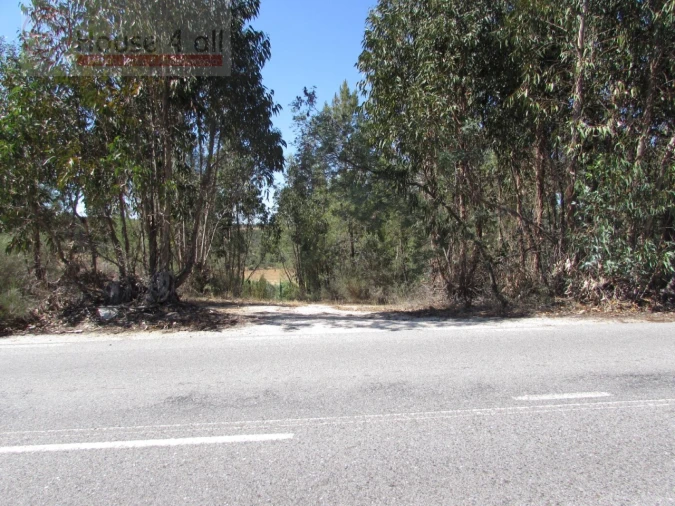 Terreno Misto para Venda em Proença-A-Velha Foto 25