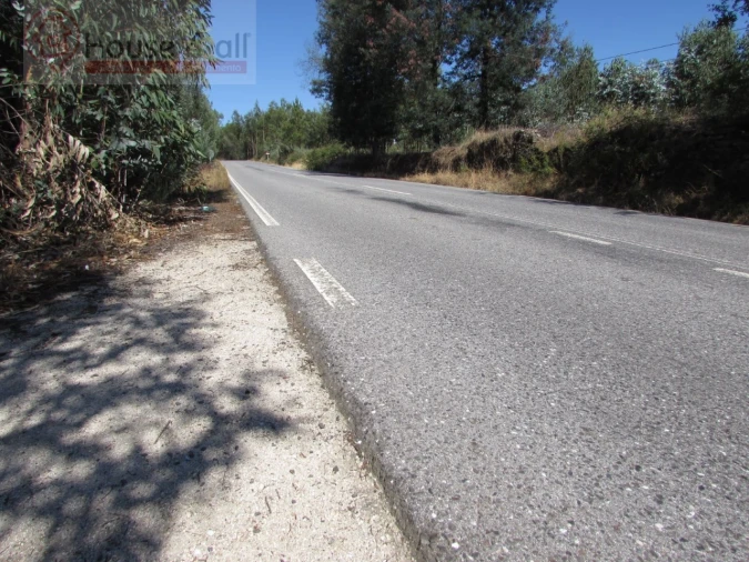 Terreno Misto para Venda em Proença-A-Velha Foto 26