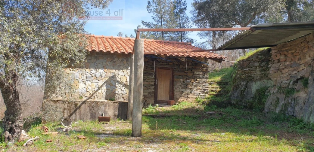 Terreno Misto para Venda em Proença-A-Velha Foto 1