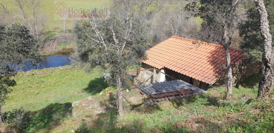 Terreno Misto para Venda em Proença-A-Velha Foto 12