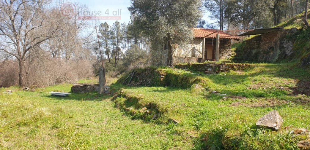 Terreno Misto para Venda em Proença-A-Velha Foto 13
