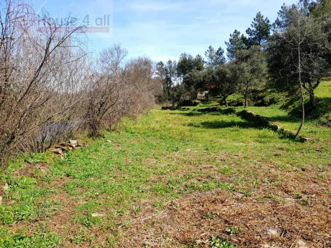 Terreno Misto para Venda em Proença-A-Velha Foto 16