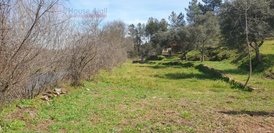 Terreno Misto para Venda em Proença-A-Velha Foto 21