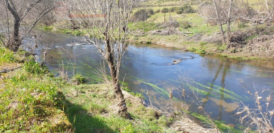 Terreno Misto para Venda em Proença-A-Velha Foto 22