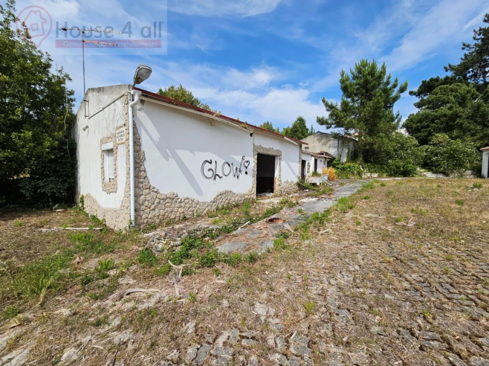 Negócio para Venda em Nadadouro Foto 17