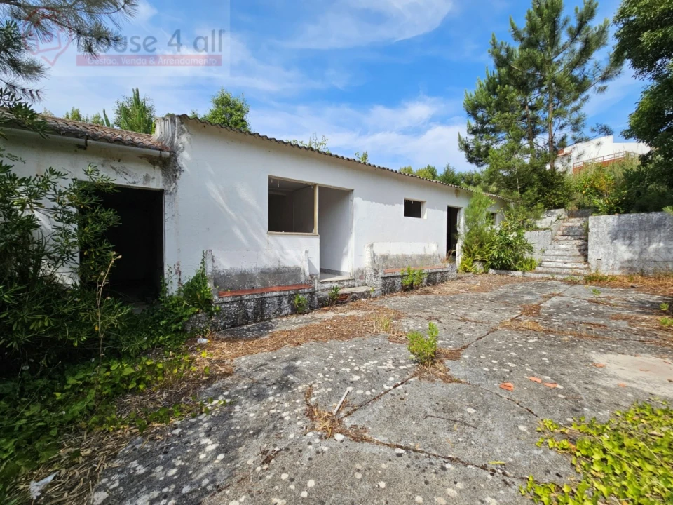 Negócio para Venda em Nadadouro Foto 20