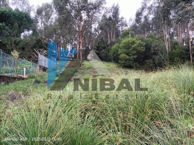 Terreno para Venda em Pedroso e Seixezelo Foto 4