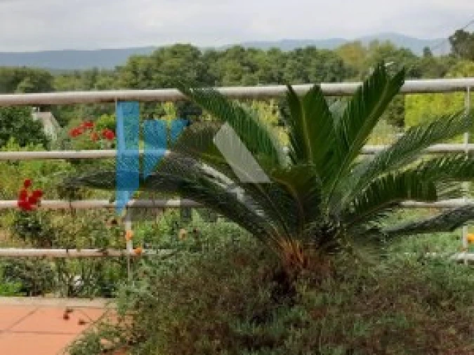 Moradia T4 para Venda em Gondarem Foto 32