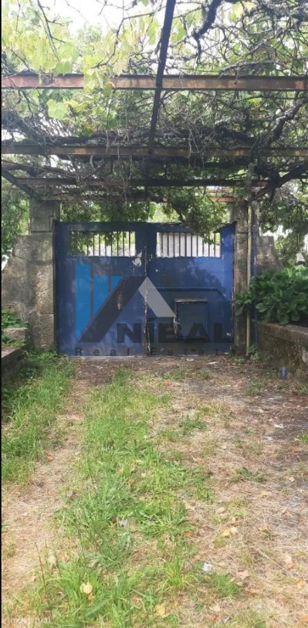 Quinta T6 para Venda em Grijó e Sermonde Foto 5