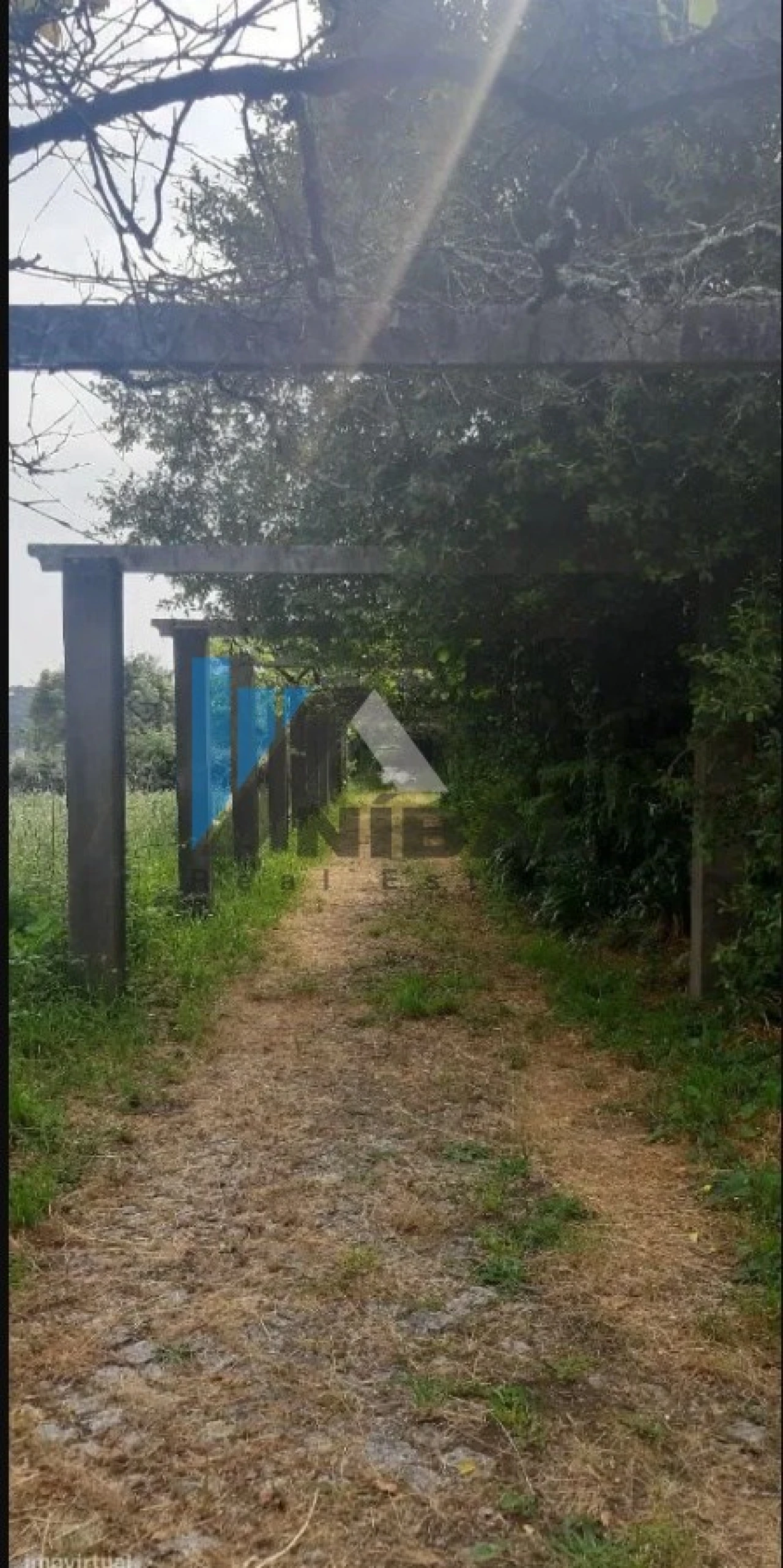 Quinta T6 para Venda em Grijó e Sermonde Foto 6