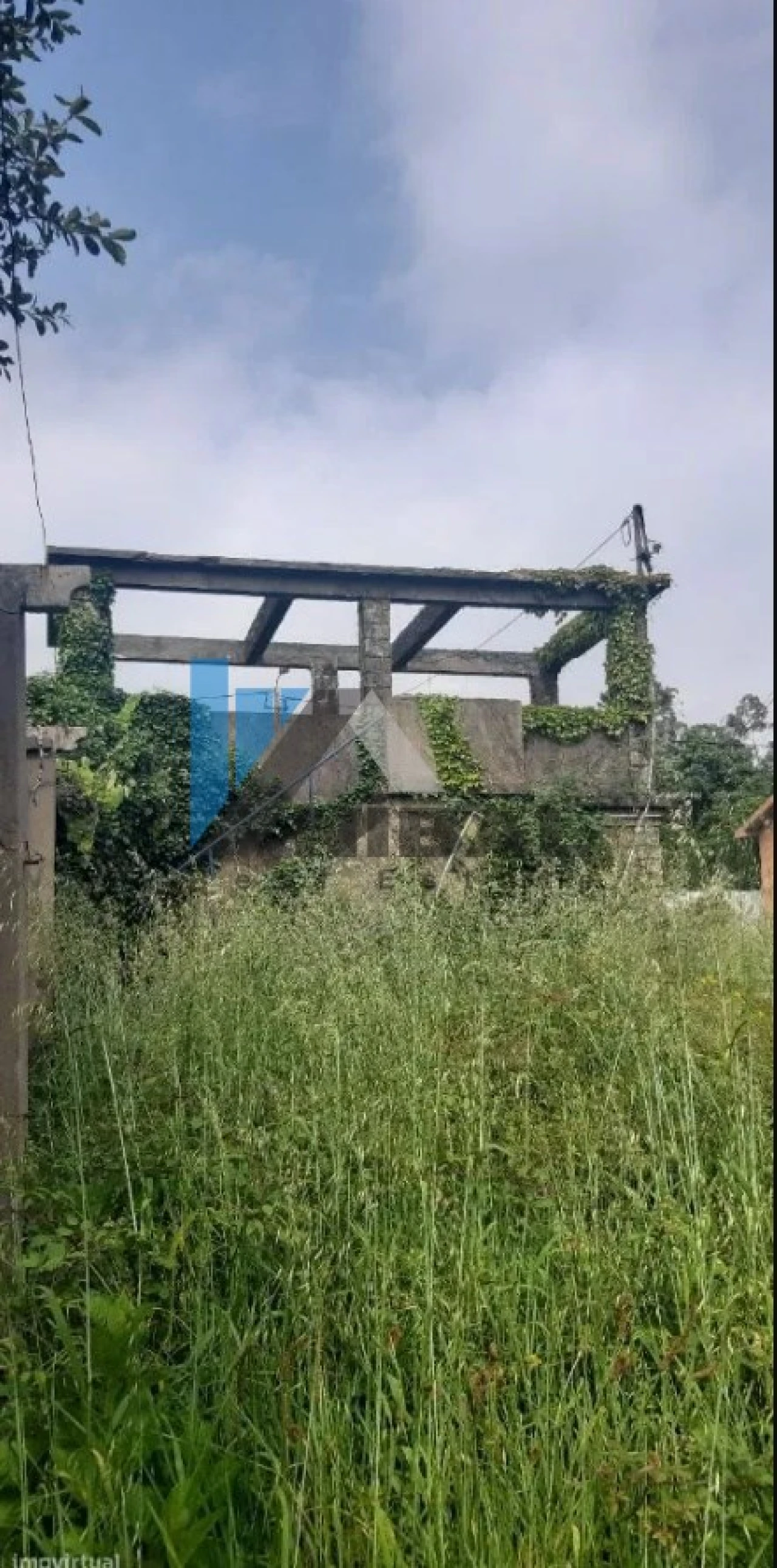 Quinta T6 para Venda em Grijó e Sermonde Foto 9