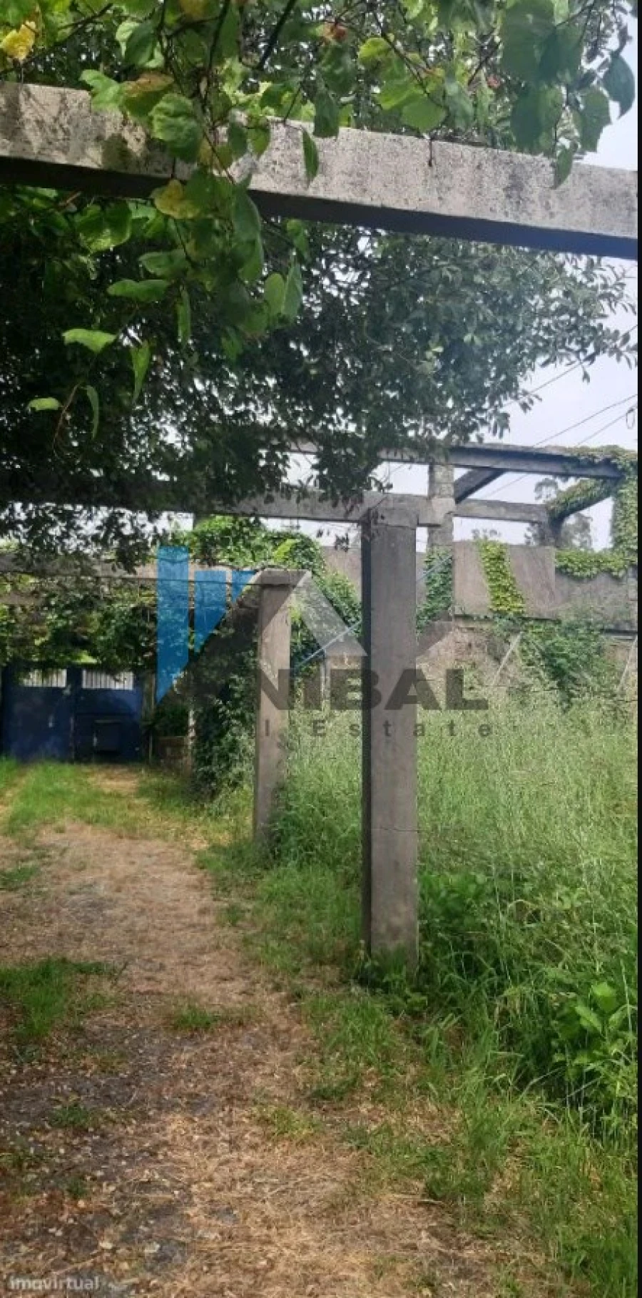 Quinta T6 para Venda em Grijó e Sermonde Foto 7