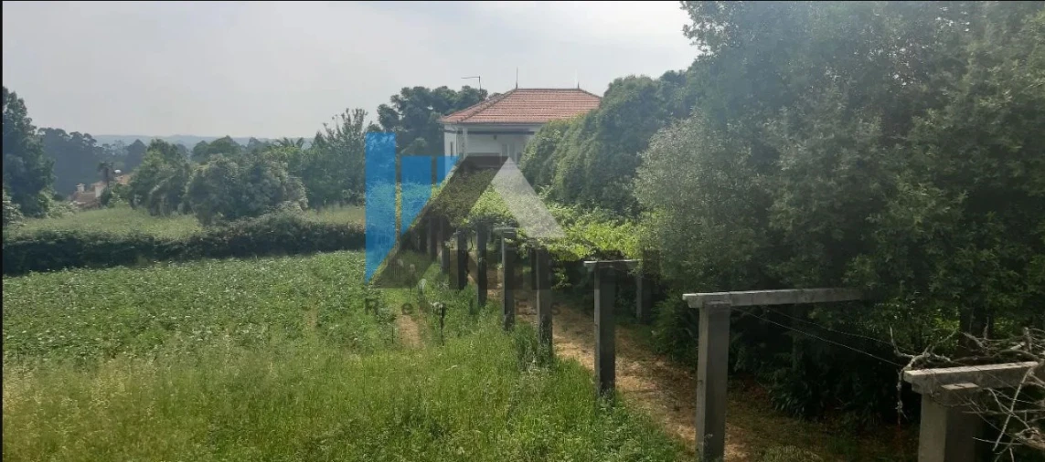 Quinta T6 para Venda em Grijó e Sermonde Foto 11