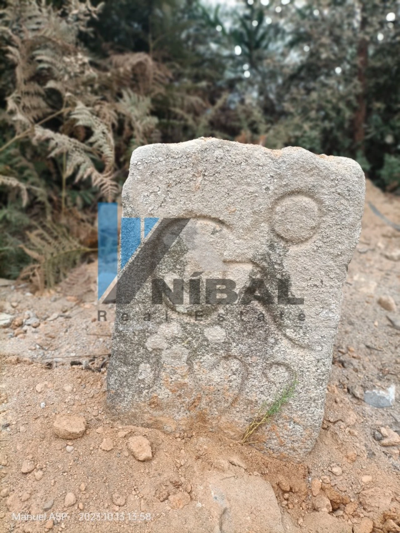 Terreno Misto para Venda em São Felix da Marinha Foto 2