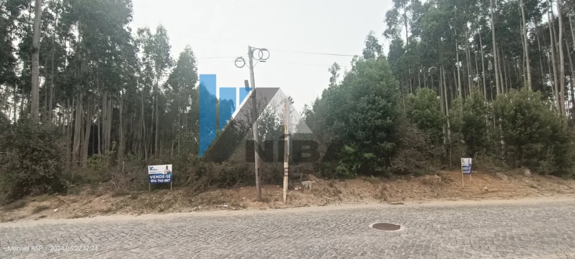 Terreno Misto para Venda em São Felix da Marinha Foto 6