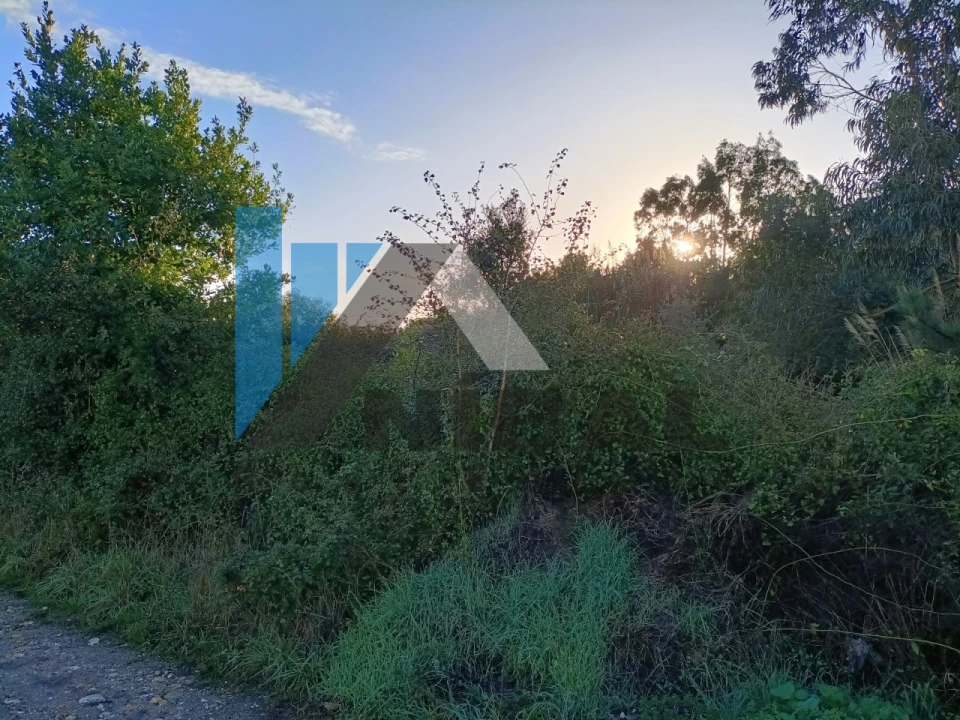 Terreno Agricola ou Rústico para Venda em Santa Joana Foto 2