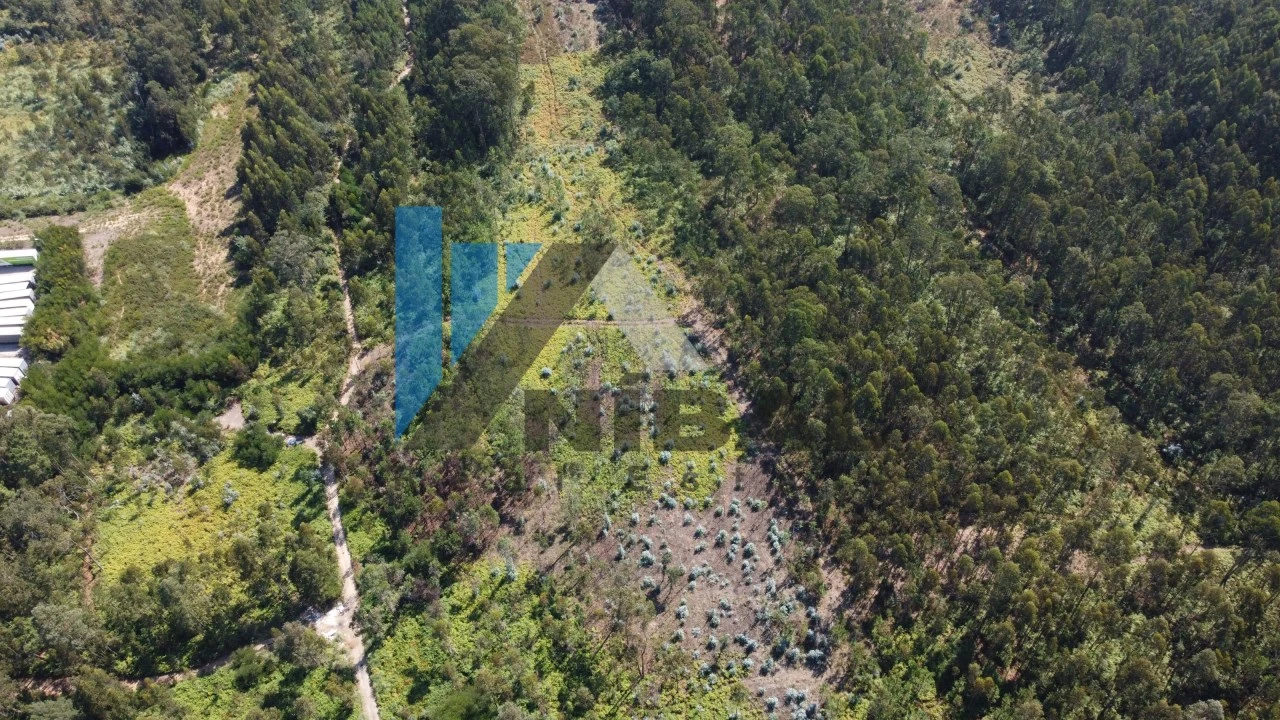 Terreno Comércio / Armazém para Venda em Serzedo e Perosinho Foto 3