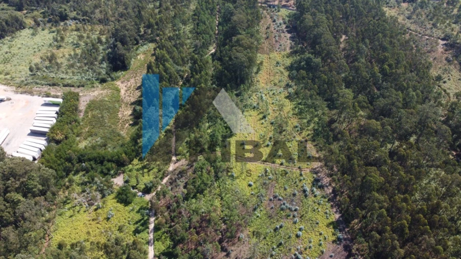 Terreno Comércio / Armazém para Venda em Serzedo e Perosinho Foto 1