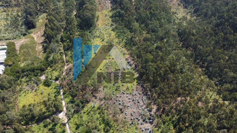 Terreno Comércio / Armazém para Venda em Serzedo e Perosinho Foto 3