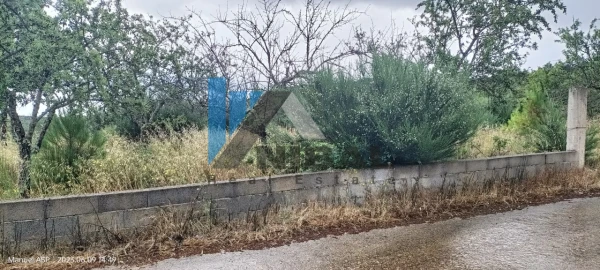 Terreno para Venda em Carviçais