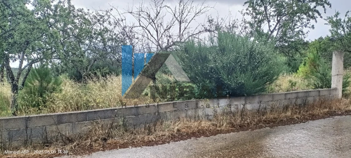Terreno para Venda em Carviçais