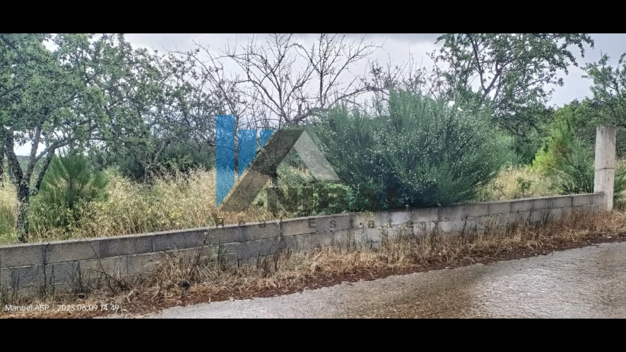 Terreno para Venda em Carviçais