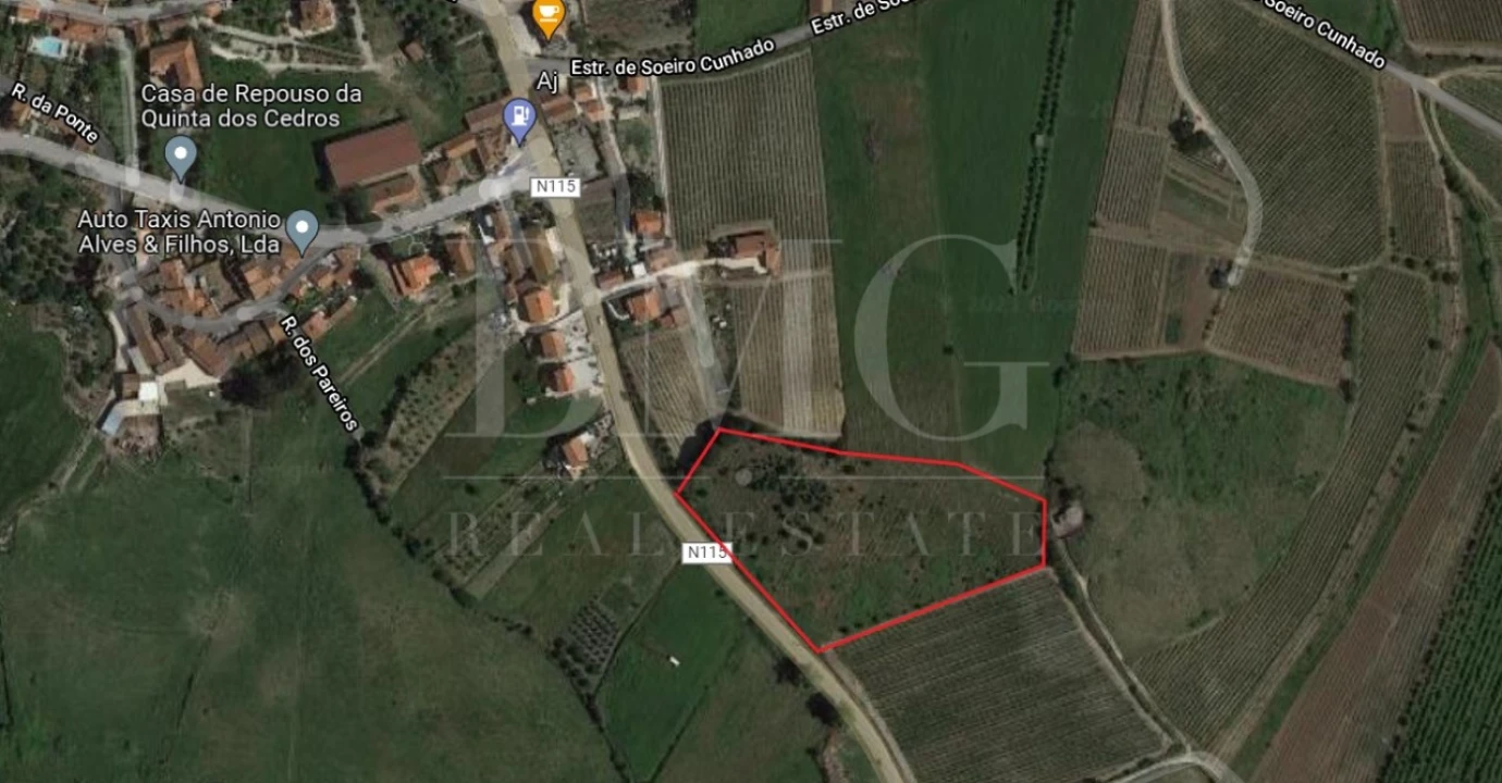 Terreno Agricola ou Rústico para Venda em Ribafria e Pereiro de Palhacana Foto 2