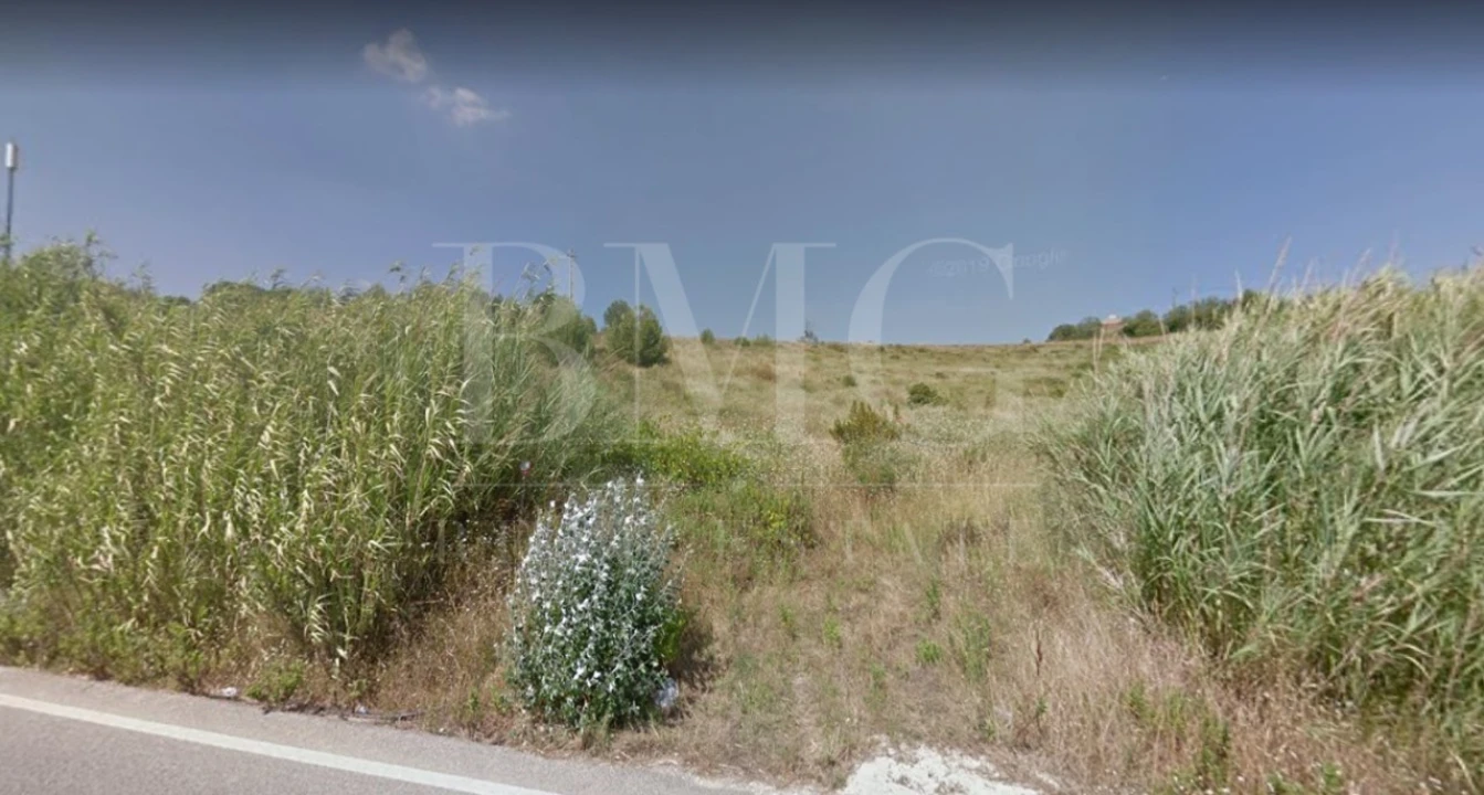 Terreno Agricola ou Rústico para Venda em Ribafria e Pereiro de Palhacana Foto 3