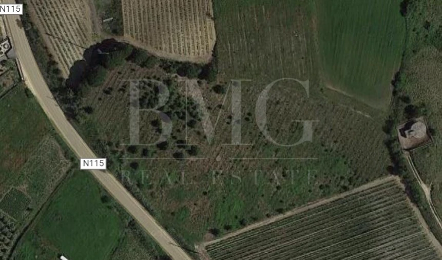 Terreno Agricola ou Rústico para Venda em Ribafria e Pereiro de Palhacana Foto 1