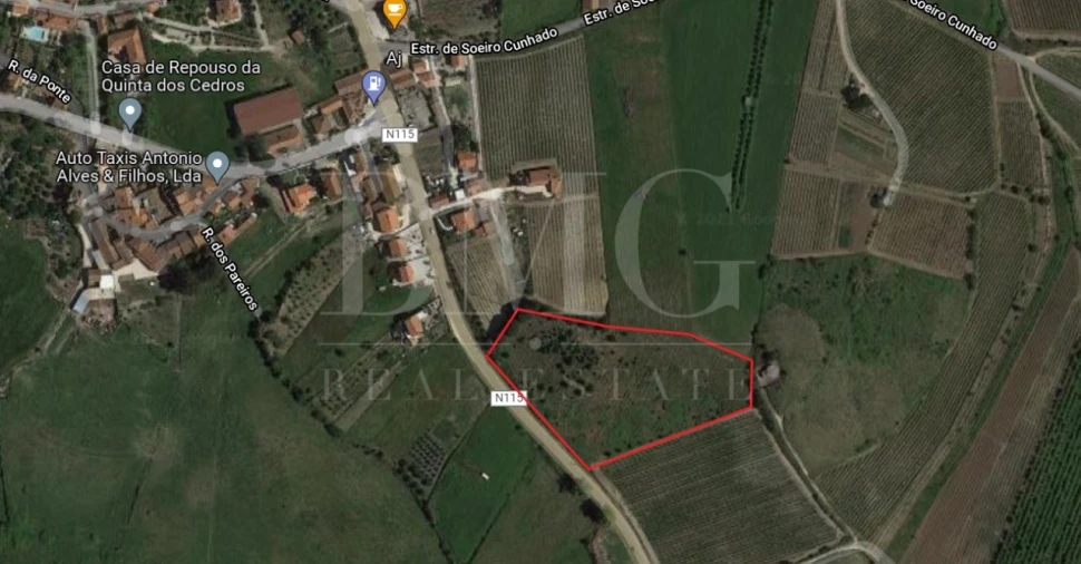 Terreno Agricola ou Rústico para Venda em Ribafria e Pereiro de Palhacana Foto 2