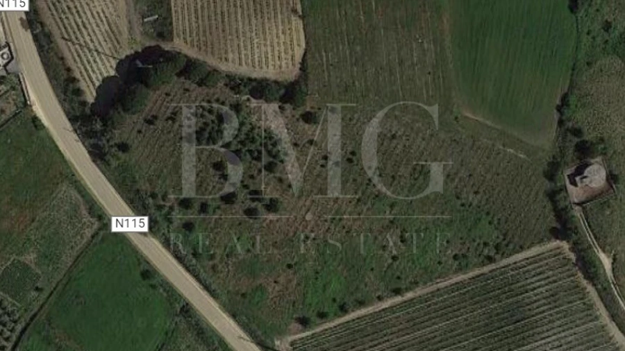 Terreno Agricola ou Rústico para Venda em Ribafria e Pereiro de Palhacana