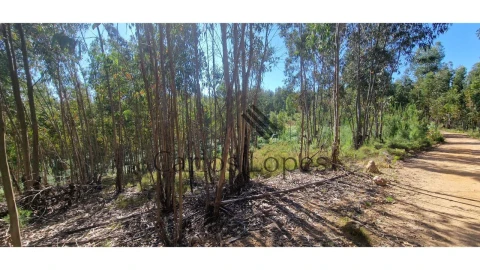 Terreno para Venda em Figueiró dos Vinhos e Bairradas