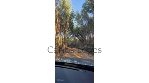 Terreno para Venda em Figueiró dos Vinhos e Bairradas